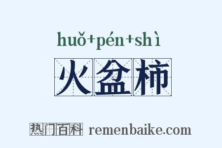 火盆柿是什么意思的图片